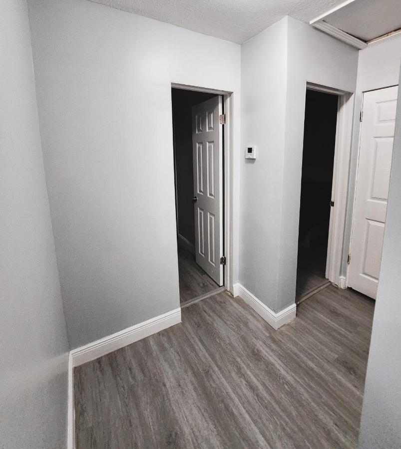 Cozy 3 Bedroom House Near Airport/Raymond Stadium/Downtown. Tampa Ngoại thất bức ảnh